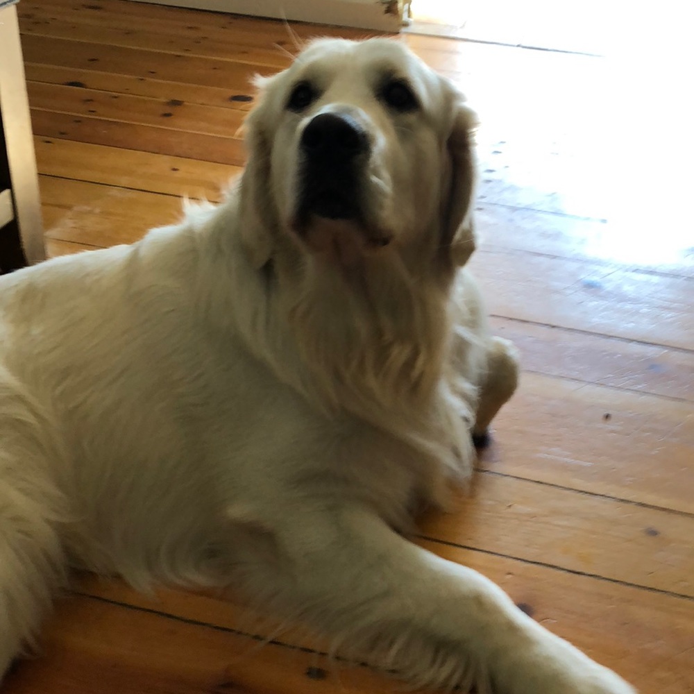 Meet your Posher, Chad